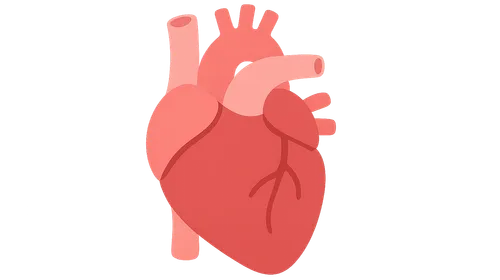 Cardiothoracic Surgery