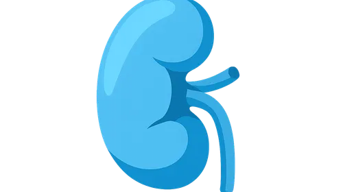 Renal Regulation of Acid-Base Balance