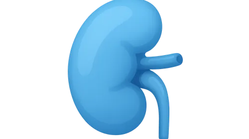 Renal Regulation of Acid-Base Balance