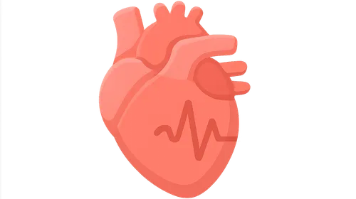 Secondary arrhythmias (electrolyte, drug-induced)