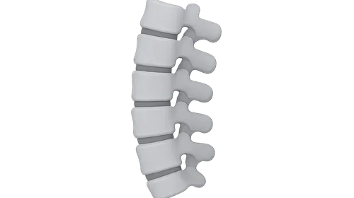 Spinal radiologic landmarks