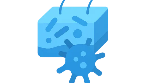 Microbiome and immune system interactions