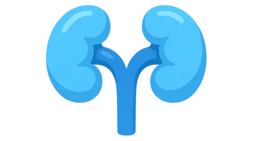 Congenital Anomalies of the Kidney