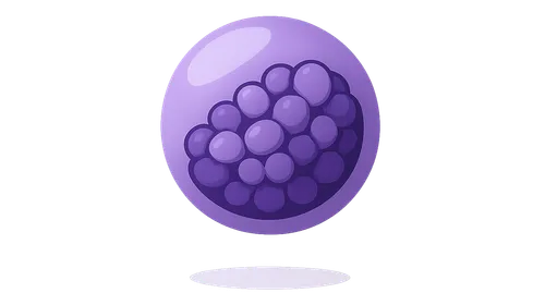 Sphingolipidoses (Tay-Sachs, Gaucher, Niemann-Pick)