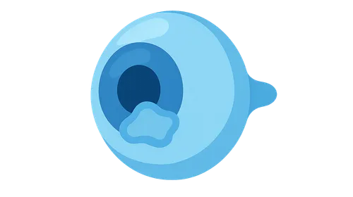 Diseases of the Cornea