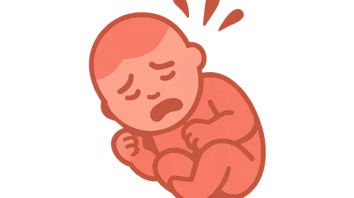 Birth Asphyxia and Hypoxic-Ischemic Encephalopathy