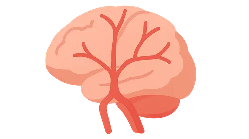 Anterior cerebral artery territory