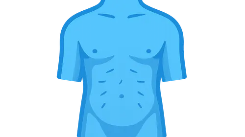 Surface Landmarks of the Abdomen