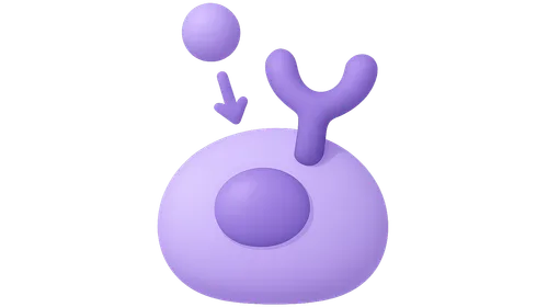 Hormone Receptors and Signaling