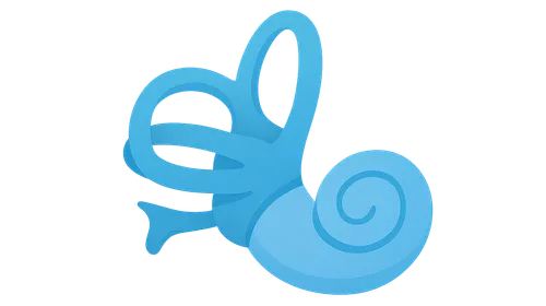 Anatomy and Physiology of Balance