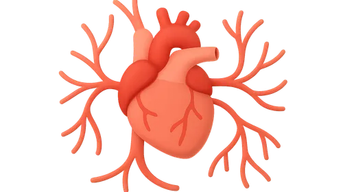 Regional Circulations