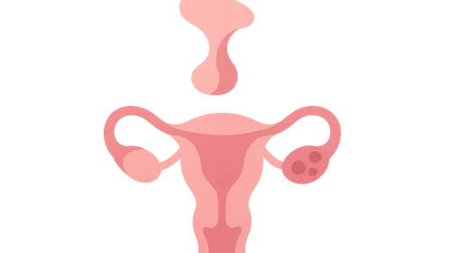 Hypothalamic-Pituitary-Ovarian Axis