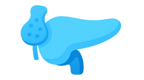 Type 1 diabetes mellitus