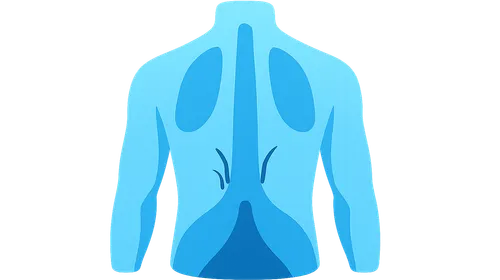 Segmental innervation patterns
