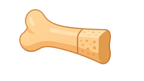 Biology of Bone Grafting