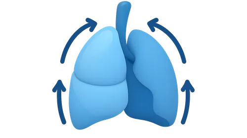 Elastic recoil of lung tissue