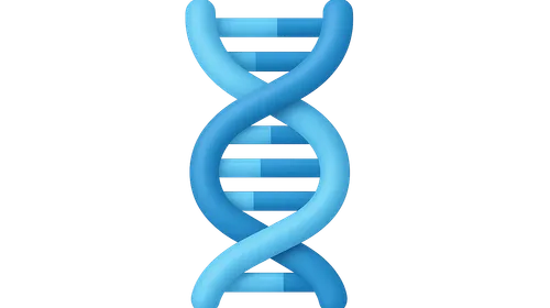 Short Tandem Repeat Analysis