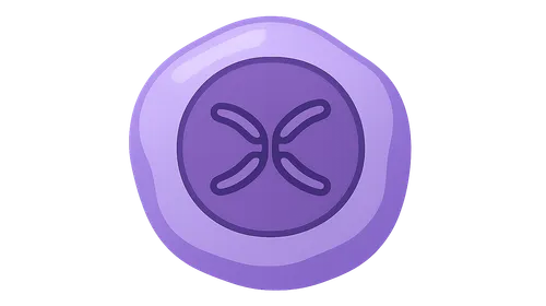 Cell Cycle and Regulation