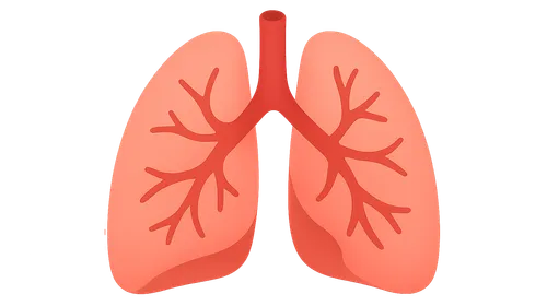 Pulmonary vascular disorders