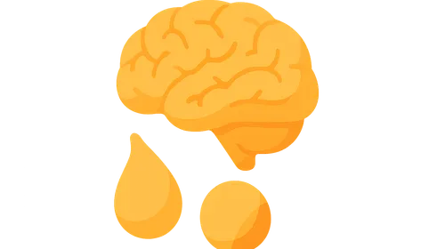 Brain Metabolism and Ketone Bodies