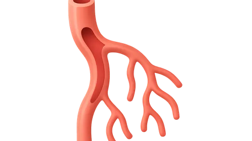 Peripheral Vascular Imaging