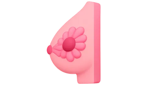 BI-RADS Classification