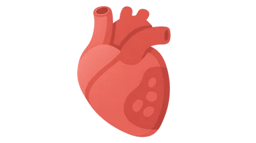 Lipid Profile and Cardiovascular Risk