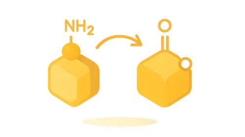 Transamination and Deamination
