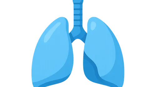 Respiratory Physiology