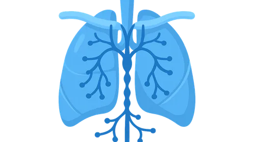 Thoracic Duct and Lymphatics