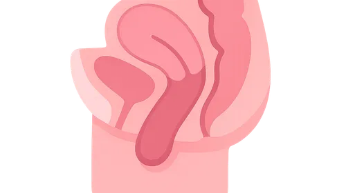 Pelvic Organ Prolapse: Classification