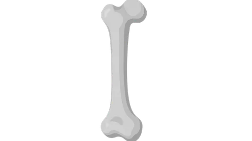 Applied Surgical Anatomy