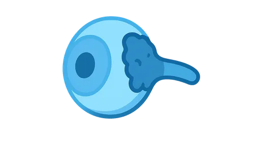 Other Optic Neuropathies