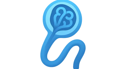 Microscopic Anatomy of Urinary System