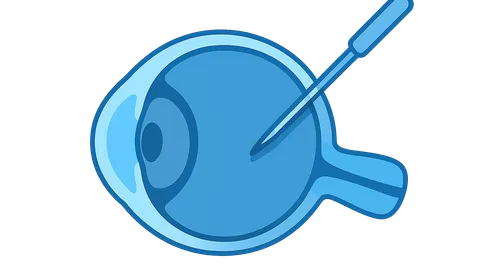 Surgical Anatomy of Eye