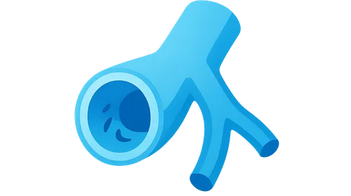 Airway resistance determinants