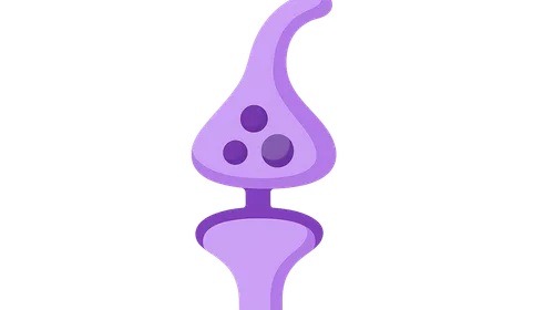 Neuromuscular blockers