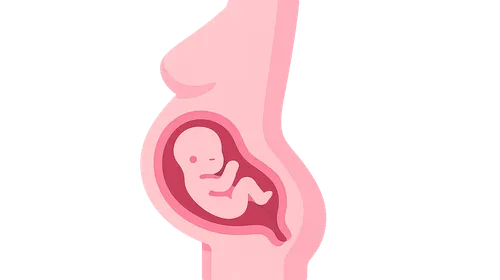 Management of Medical Disorders in Pregnancy