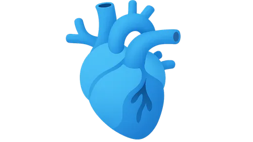 Drugs Used in Pulmonary Hypertension