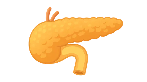 Pancreatic Transplantation Pathology