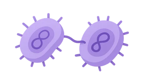 Bacterial Genetic Recombination