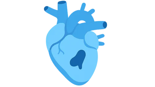 Congenital Malformations