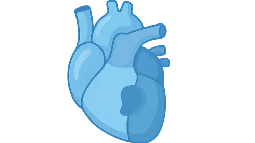 Congenital Heart Disease