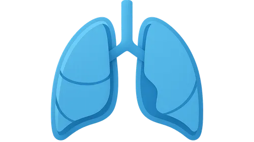 Pleura and lungs