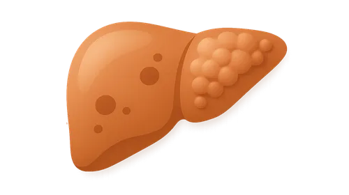 Biotransformation in Liver Disease