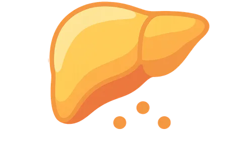 Metabolic Regulation: Substrate Availability