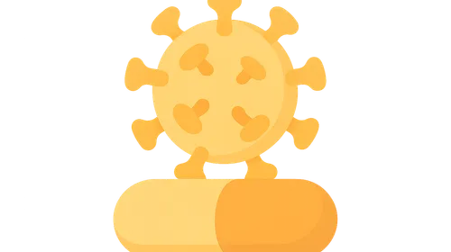 Influenza antivirals