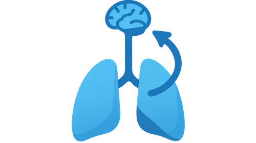 Respiratory regulation of acid-base