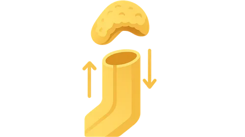 Aldosterone actions on distal tubule