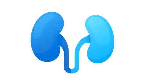 Kidney transplantation